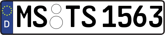 MS-TS1563