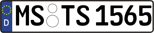 MS-TS1565
