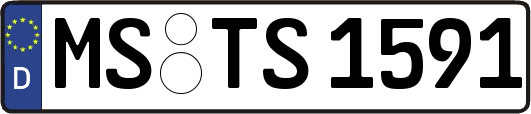 MS-TS1591