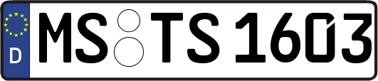 MS-TS1603