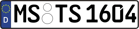 MS-TS1604