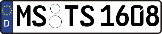 MS-TS1608