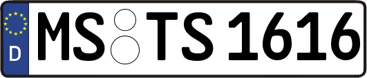 MS-TS1616