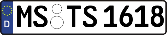 MS-TS1618