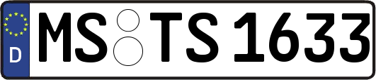 MS-TS1633