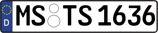 MS-TS1636