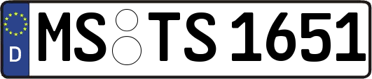MS-TS1651