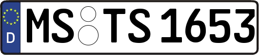 MS-TS1653