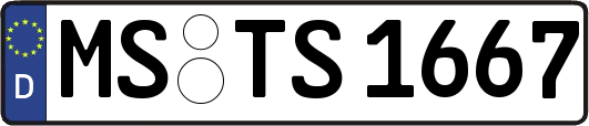 MS-TS1667