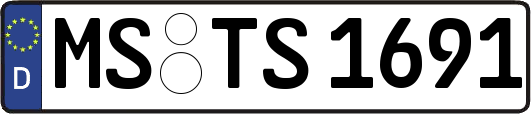 MS-TS1691