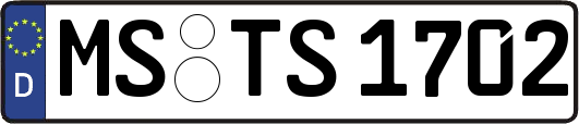 MS-TS1702