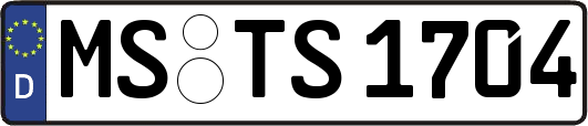 MS-TS1704