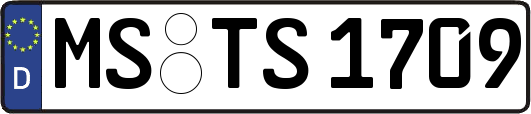 MS-TS1709