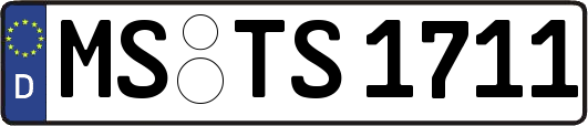 MS-TS1711