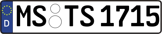 MS-TS1715