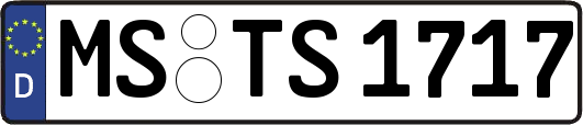 MS-TS1717