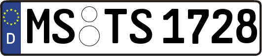 MS-TS1728