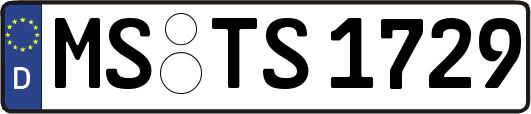 MS-TS1729