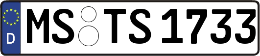 MS-TS1733