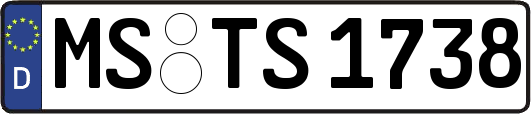 MS-TS1738