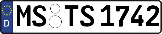 MS-TS1742