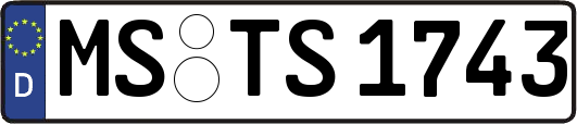 MS-TS1743