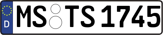 MS-TS1745