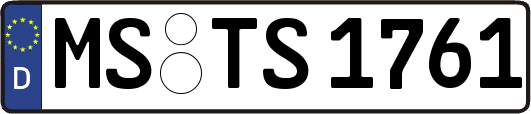 MS-TS1761