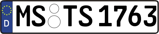 MS-TS1763