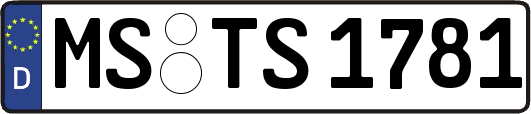 MS-TS1781