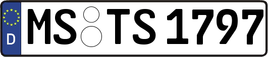 MS-TS1797