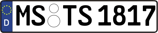 MS-TS1817
