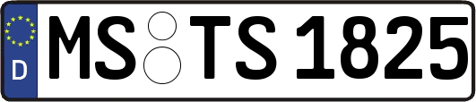 MS-TS1825