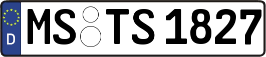 MS-TS1827