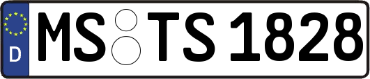 MS-TS1828