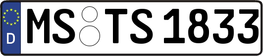 MS-TS1833