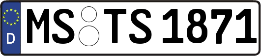 MS-TS1871
