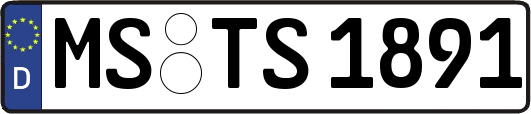 MS-TS1891