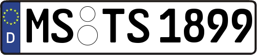 MS-TS1899