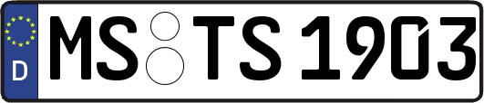 MS-TS1903