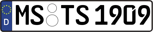 MS-TS1909