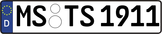MS-TS1911