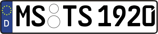 MS-TS1920