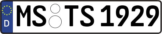 MS-TS1929