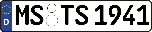 MS-TS1941