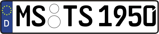 MS-TS1950