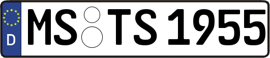 MS-TS1955