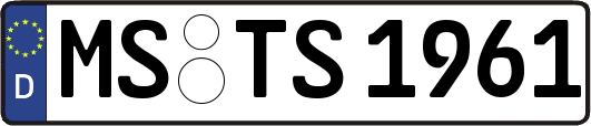 MS-TS1961