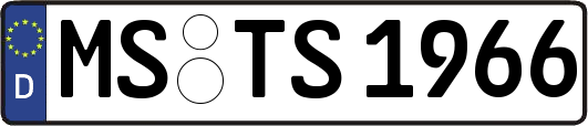 MS-TS1966