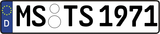 MS-TS1971